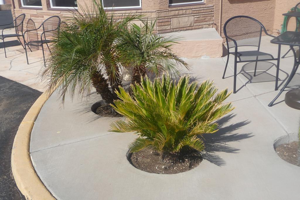 Palms Inn Gila Bend Экстерьер фото
